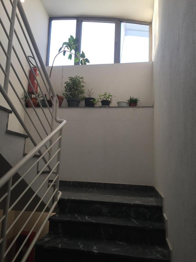 Kraljevski Apartman 크랄레보 외부 사진